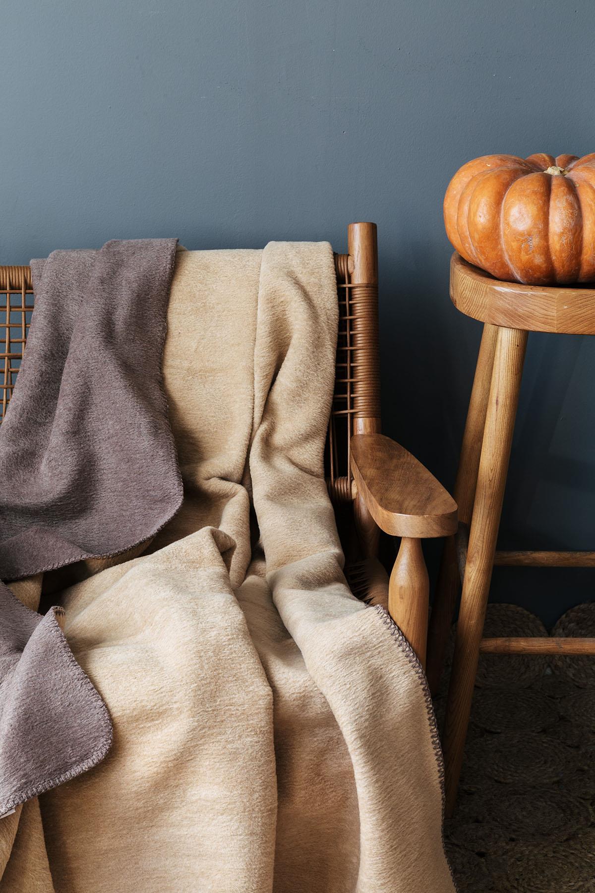 Elite Cotton TV Blanket (130 x 170 cm)